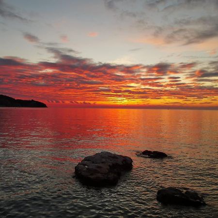 D&D Izola Apartments Dış mekan fotoğraf